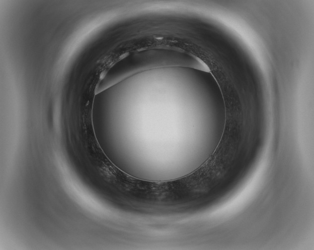 X0000113360382200909151240