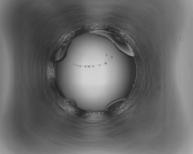 X0000113360384200909151240