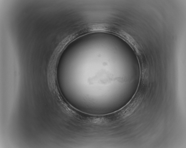 X0000113360385200909151240