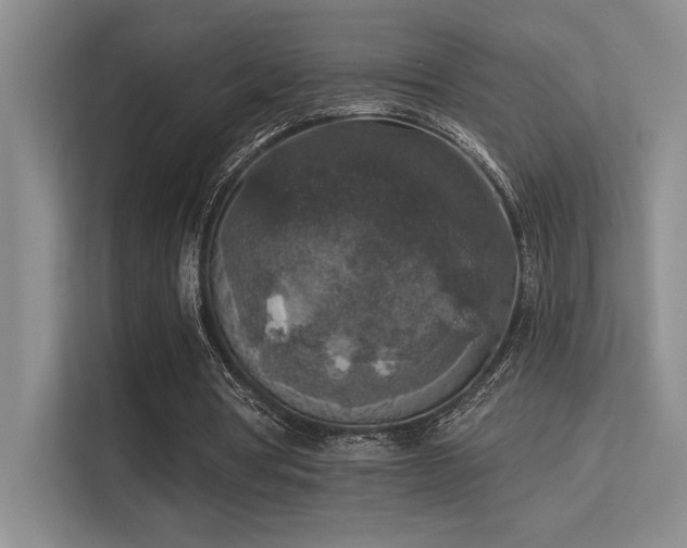 X0000113360386200909151240