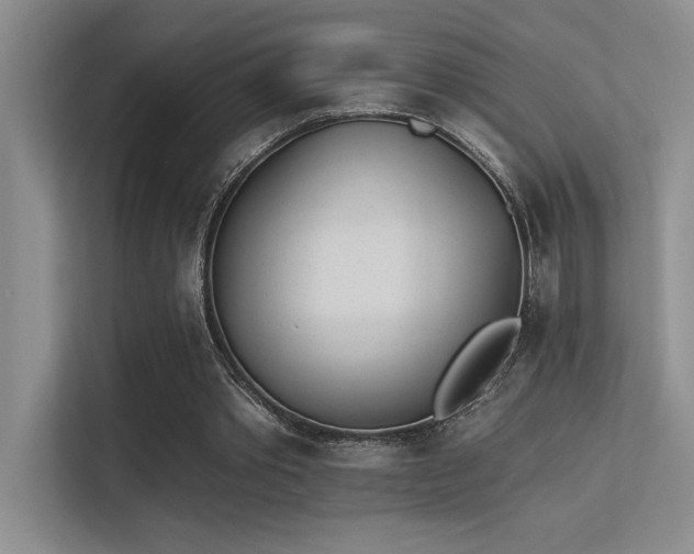 X0000113360389200909151240