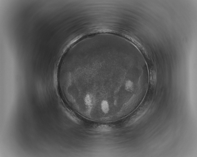 X0000113360390200909151239