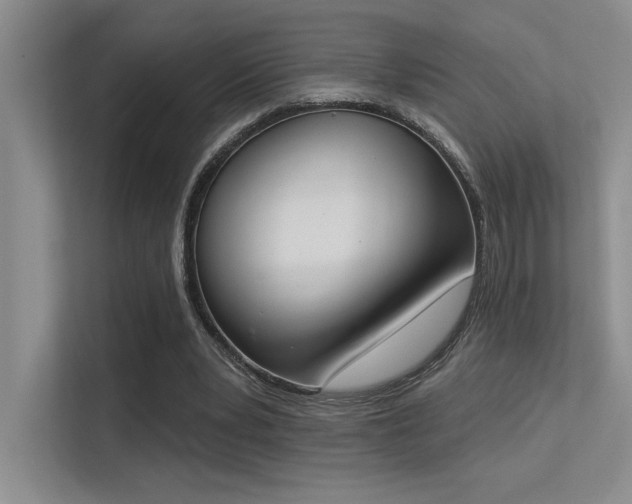 X0000113360391200909151239