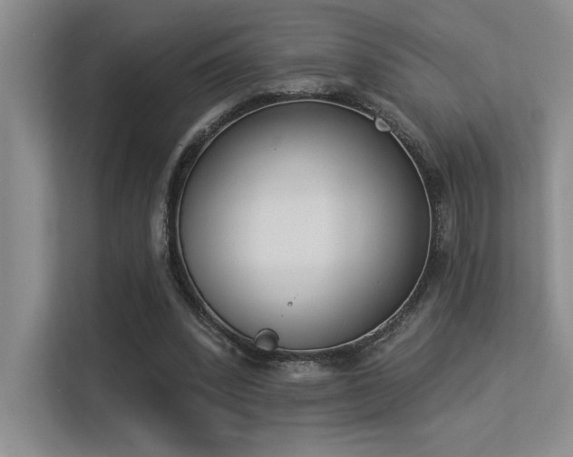 X0000113360392200909151239