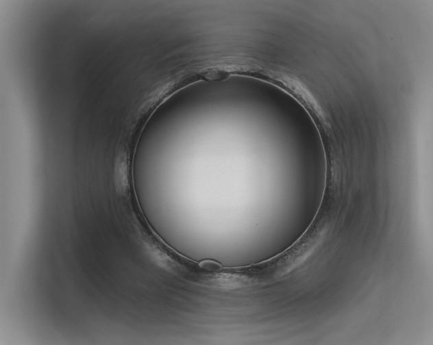 X0000113360393200909151239