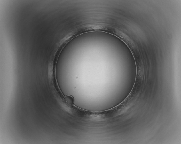 X0000113360394200909151239