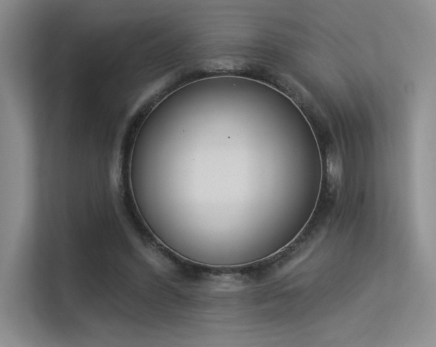 X0000113360396200909151239