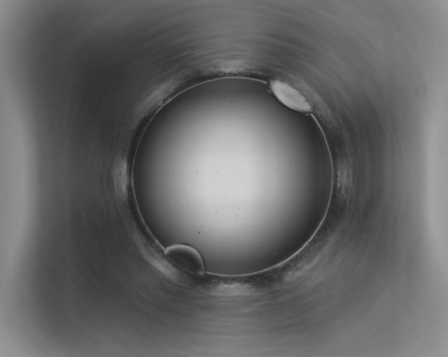 X0000113360397200909151239