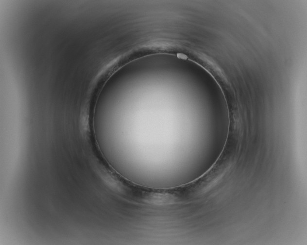 X0000113360399200909151239