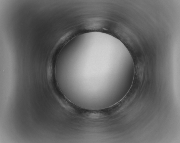 X0000113360400200909151239