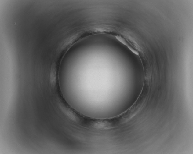 X0000113360402200909151239