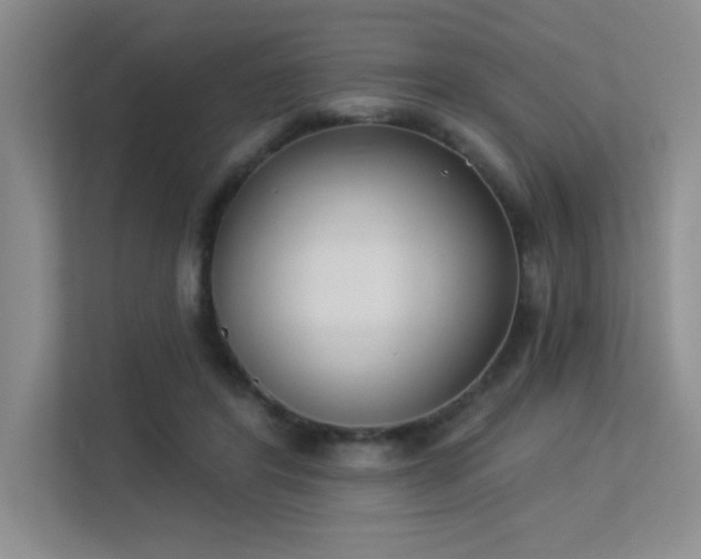 X0000113360404200909151239