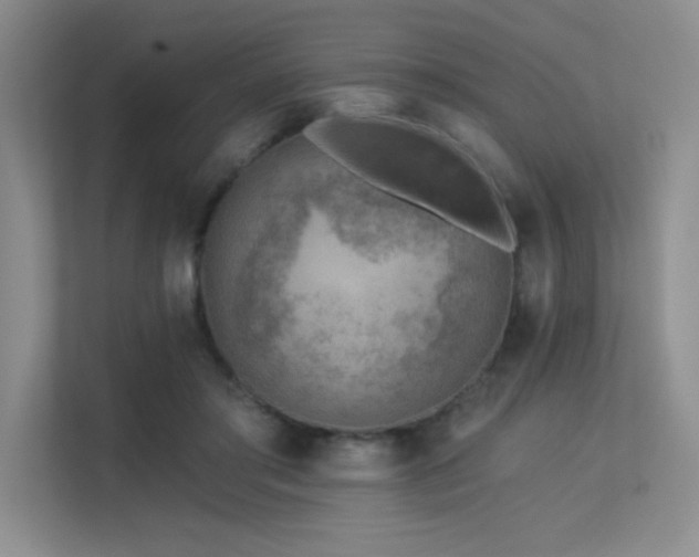 X0000113360405200909151239