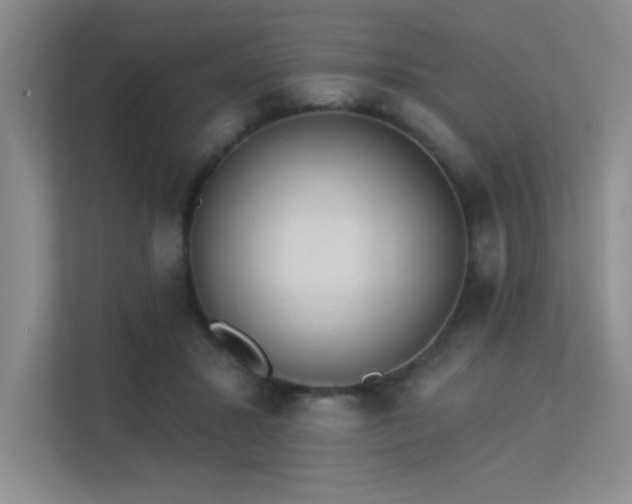 X0000113360407200909151239