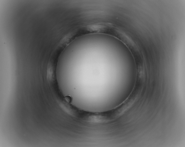 X0000113360408200909151239