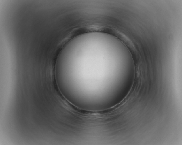 X0000113360409200909151239
