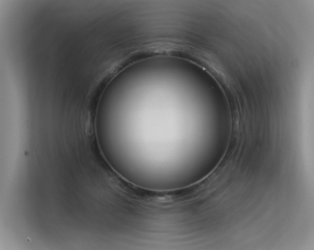 X0000113360411200909151239
