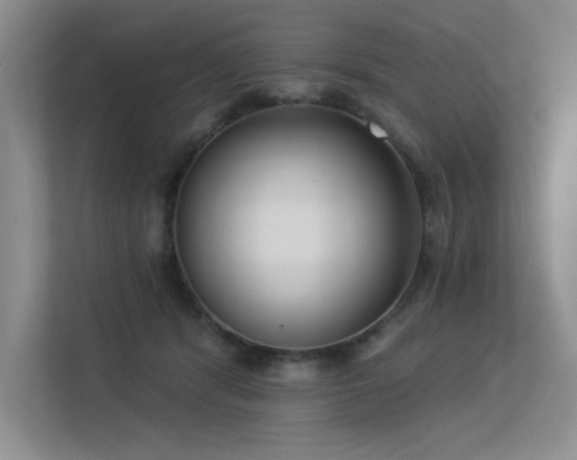 X0000113360416200909151239