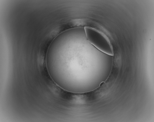 X0000113360417200909151239