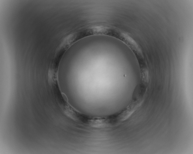 X0000113360419200909151239