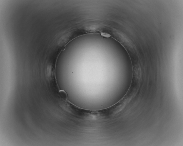 X0000113360420200909151239