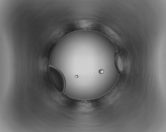 X0000113360421200909151239