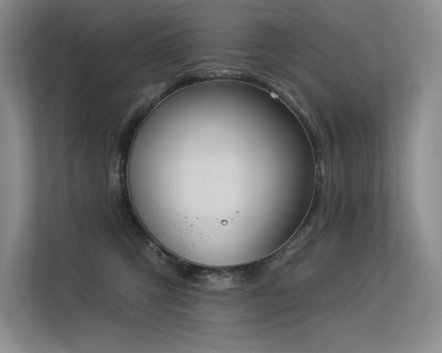 X0000113360423200909151239