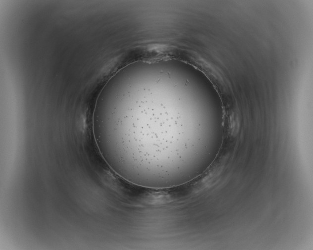 X0000113360424200909151239