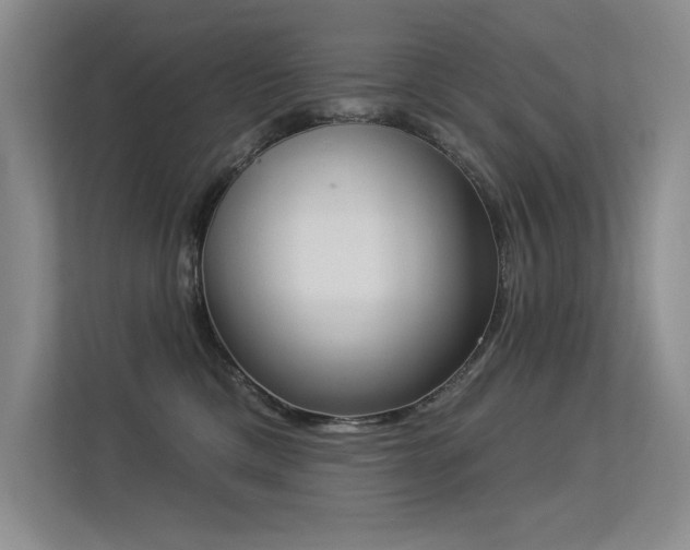 X0000113360425200909151239