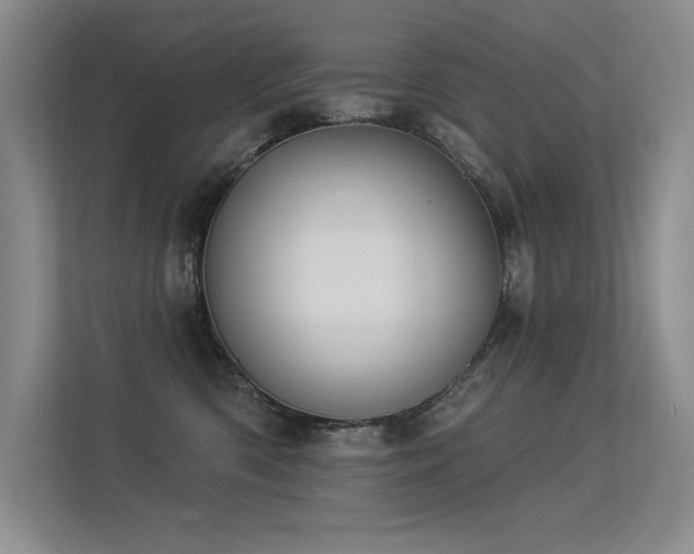 X0000113360426200909151239