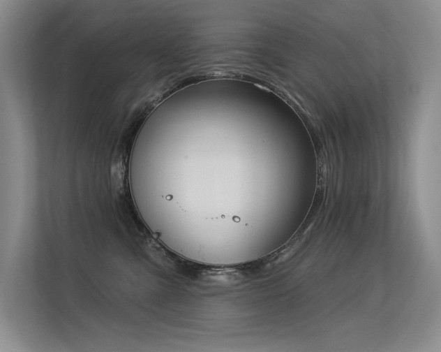 X0000113360427200909151239