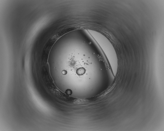 X0000113360429200909151239