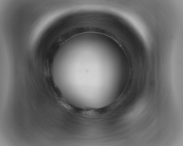 X0000113360431200909151239