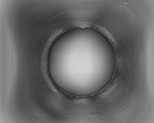 X0000113360433200909151238