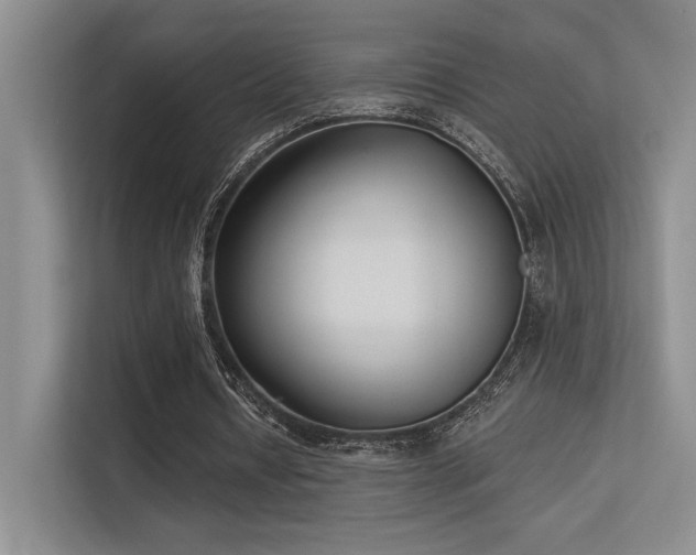 X0000113360434200909151238