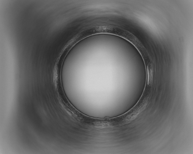 X0000113360435200909151238