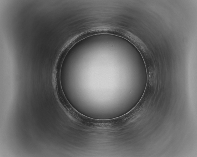 X0000113360436200909151238