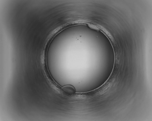 X0000113360437200909151238