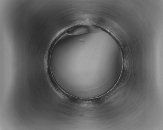 X0000113360438200909151238