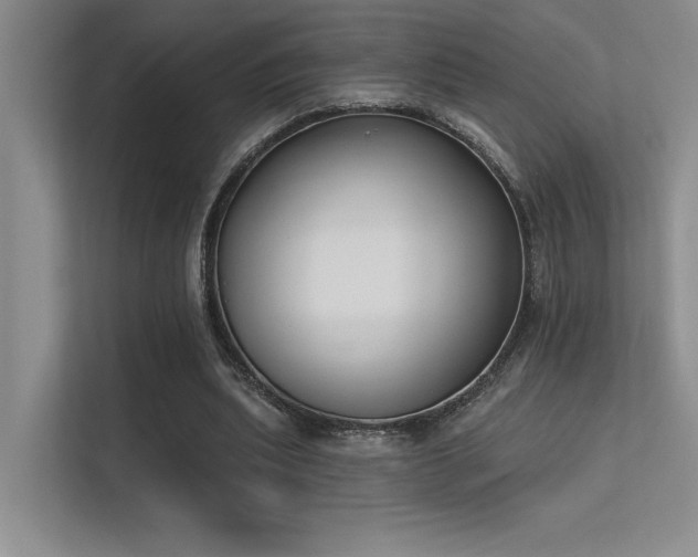 X0000113360439200909151238