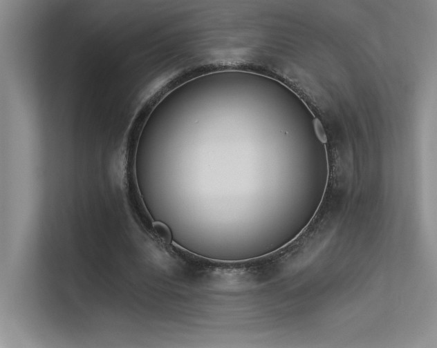 X0000113360440200909151238