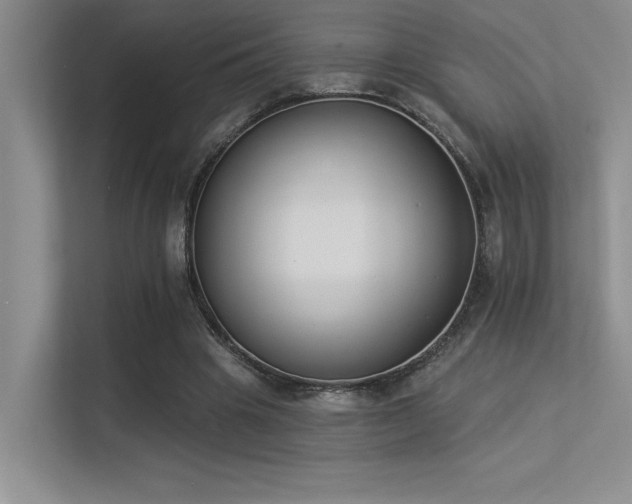 X0000113360441200909151238