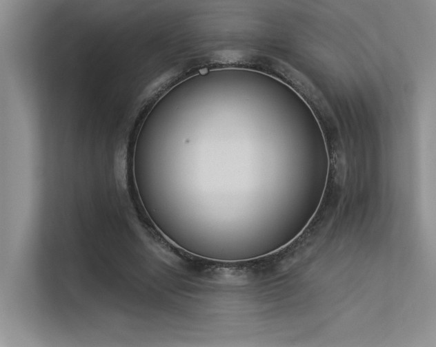 X0000113360442200909151238