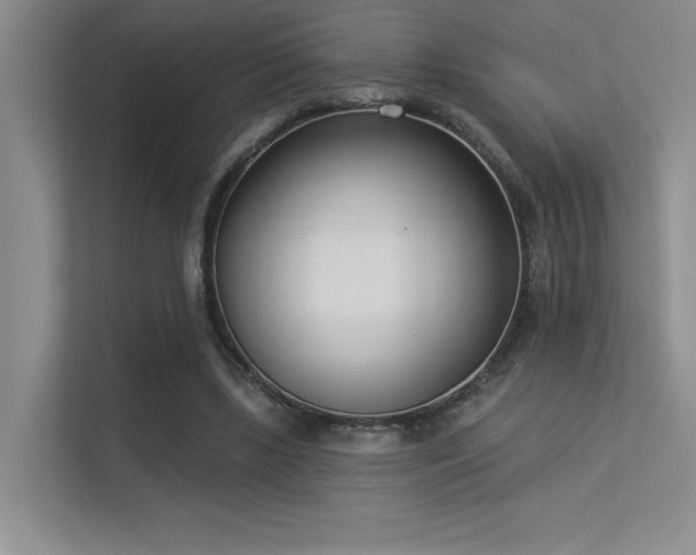 X0000113360443200909151238