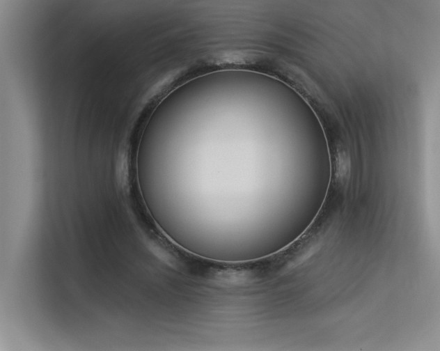 X0000113360444200909151238