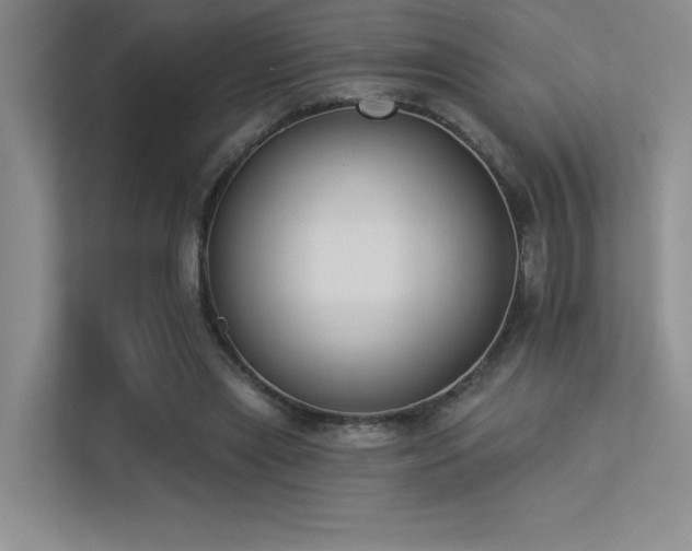 X0000113360445200909151238