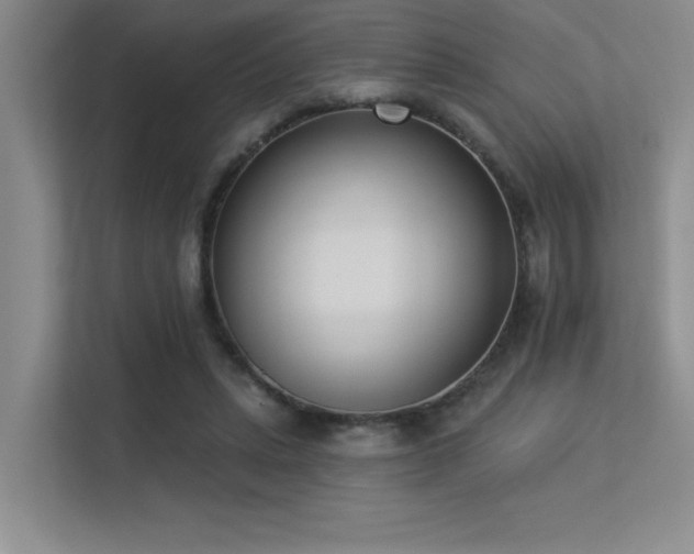 X0000113360447200909151239