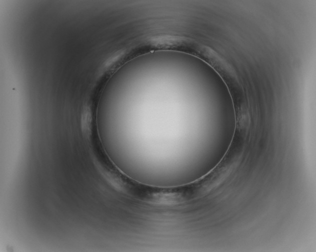 X0000113360448200909151239