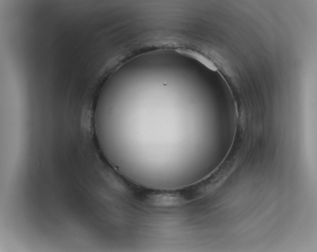 X0000113360449200909151239
