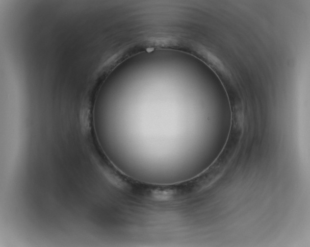 X0000113360450200909151239